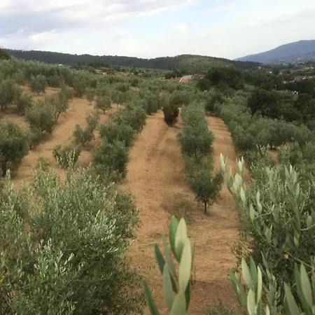 Tatil Evi Belvilla By Oyo Paneolio Pistoia